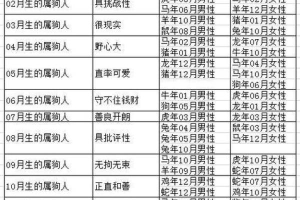 属狗女性下半年运势走向：如何应对工作与爱情的考验
