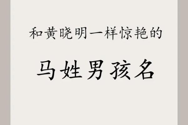适合姓马女孩的经典名字及其背后的文化寓意
