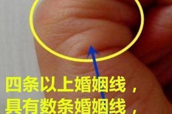 揭秘手相绝学：如何通过手掌看透未来