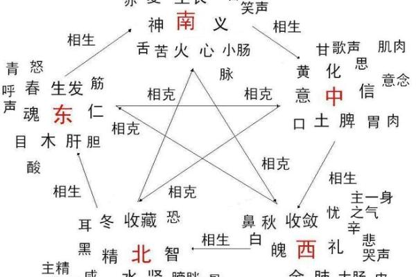 婕字五行属性解析与命理影响