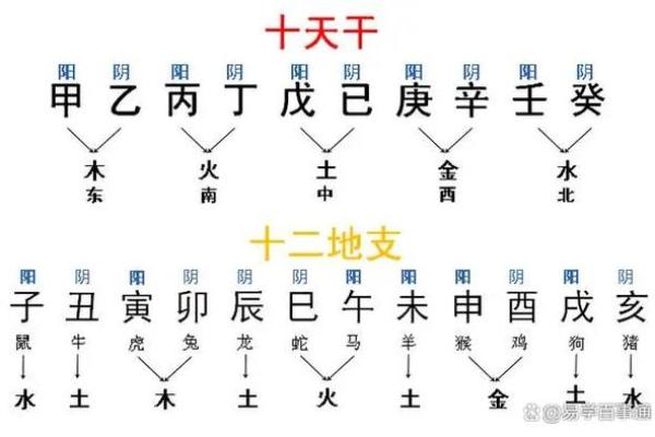 河洛排盘：探索古老易学中的命理智慧