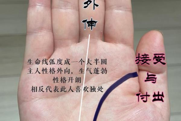 看手相不只看未来，还能洞察你的内心世界