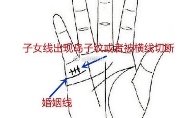 手相中的子女宫：了解掌纹对家庭生活的影响