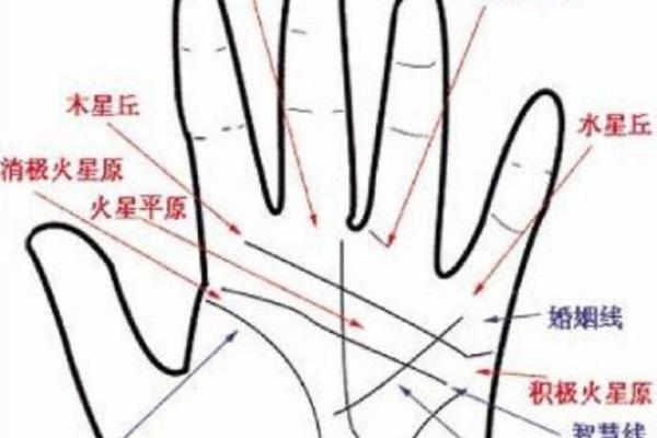 手相中的子女宫：了解掌纹对家庭生活的影响