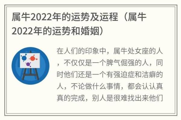 生肖牛与哪些属相最搭，合适的婚配伴侣分析
