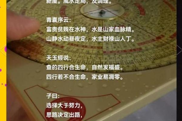 女主人如何利用风水提升家中财运