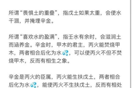 泽五行属性解析及其在命理中的重要性