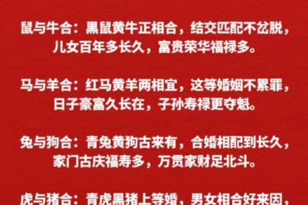 男羊女鼠婚姻配对分析：性格差异与相处之道