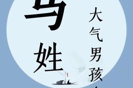 适合姓马女孩的经典名字及其背后的文化寓意