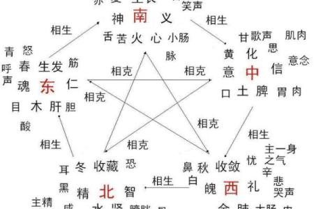 婕字五行属性解析与命理影响