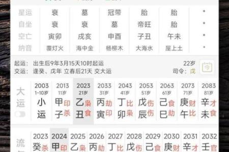 免费下载八字排盘软件，快速分析命运