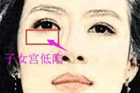 探索全智贤的命理特征与人生轨迹