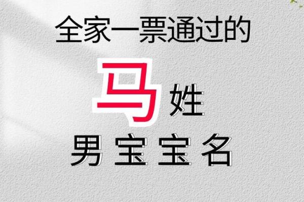 如何为姓马的女孩取一个既好听又有意义的名字