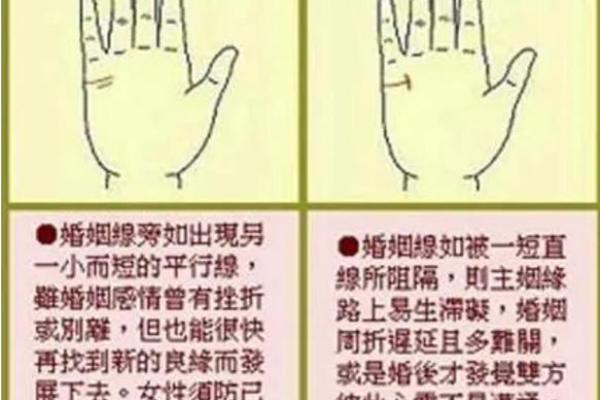 手相五条线解析：揭示你未来的运势走向