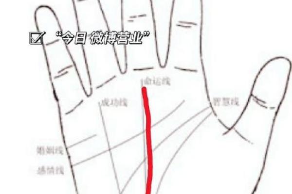 手相入门指南：了解不同掌纹的意义