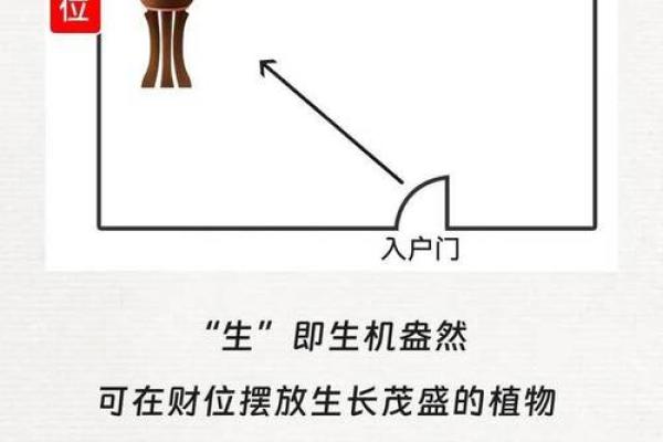 摆放多肉植物时要避开这些财位风水禁忌