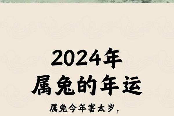 出生属兔的生肖运势与性格解析