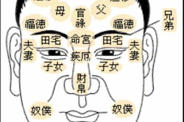 揭秘男人富贵面相的五大特征