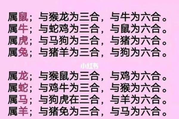 兔子与生肖配对分析，哪些最能和谐相处