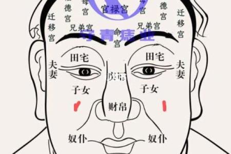 痣相偏的含义与影响：解读面部痣的神秘象征