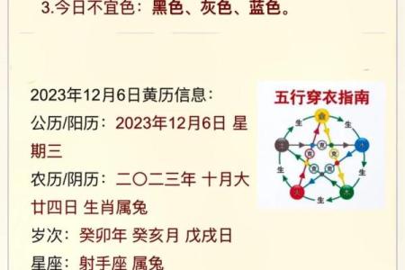 十二生肖与人生运势：如何通过属相了解自己的未来走势