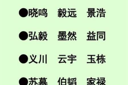 姓宝宝名字大全，寓意美好与音韵和谐的选择