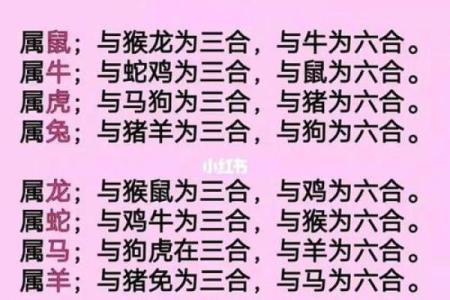 兔子与生肖配对分析，哪些最能和谐相处