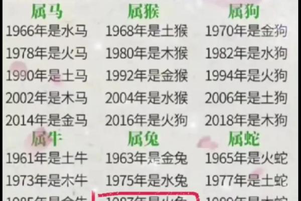 属龙的人五行属什么命解析