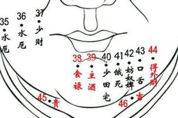 男性痣相与事业运：哪些痣位预示着成功