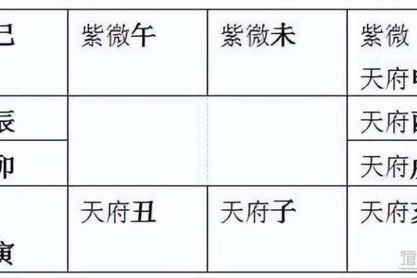 紫薇免费排盘揭秘：如何通过紫薇斗数了解人生运势