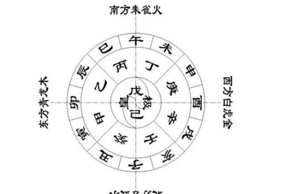 天干己卯的命理解析与运势影响