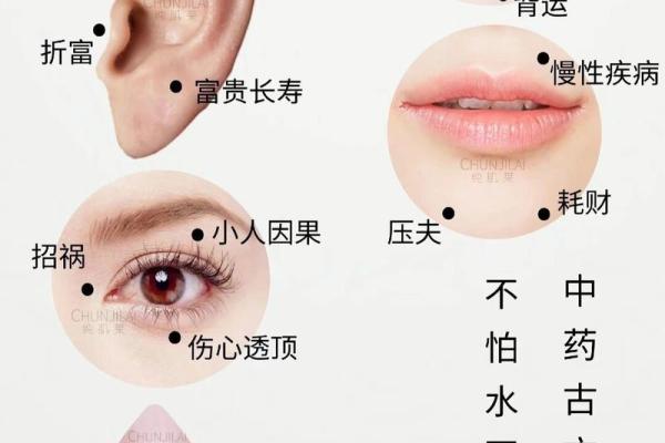 通过脸相与痣相揭示个性与命运的秘密