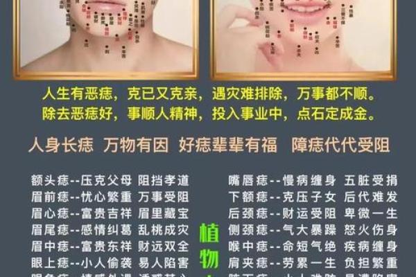 如何解读嘴巴痣相中的吉凶信息
