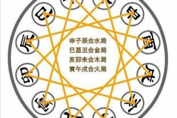 木猪命与其他命理的相互关系分析