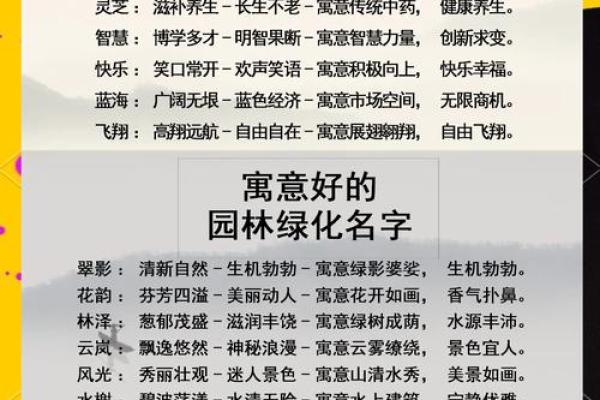 公司起名的创意指南：如何选择一个既独特又有意义的名字