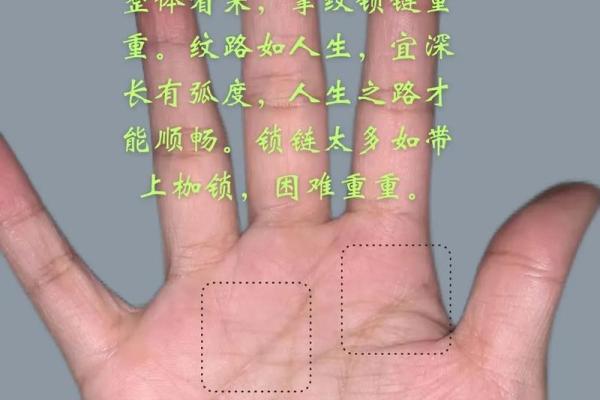 手相中的职场密码，如何影响你的工作选择
