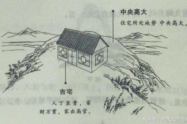 如何利用农材风水理论优化农业资源配置