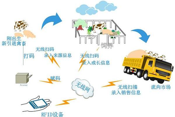 天干地址表在地理信息系统中的应用与解析