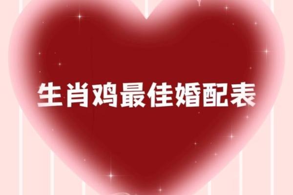 女狗与男鸡婚姻是否天作之合？探索生肖相配的真相