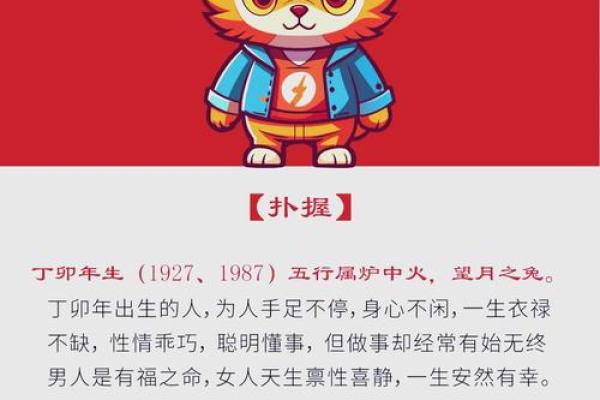 出生的生肖是什么？探索其性格与命运