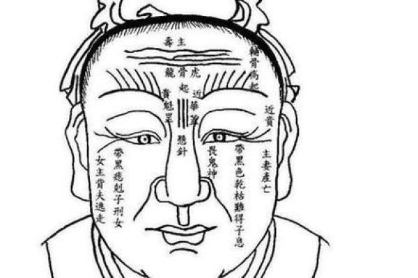 如何通过富贵面相图片辨别人生的财富机遇