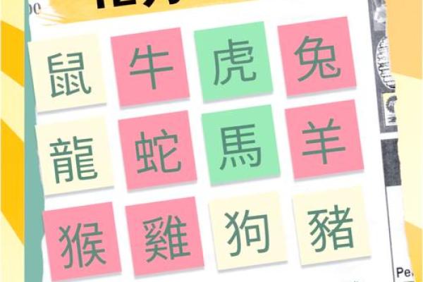 今天的生肖运势解析：哪些生肖需要注意冲克问题