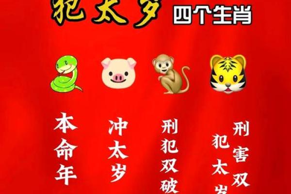 深度解读木猪命：天生的智慧与幸运