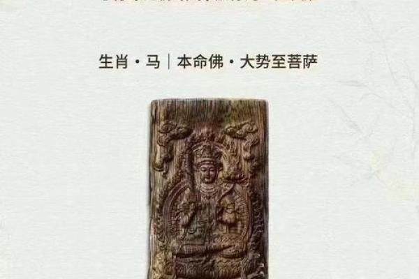 深度解读木猪命：天生的智慧与幸运