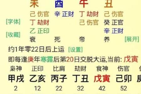 八字从格的含义及其在命理中的应用解析