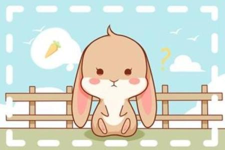 兔年命运特点与人生走向