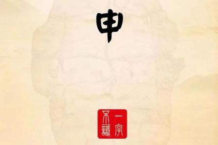 如何为姓申男孩起个独特又有意义的名字