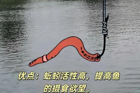 风水蚯蚓打结现象及其对运势的影响