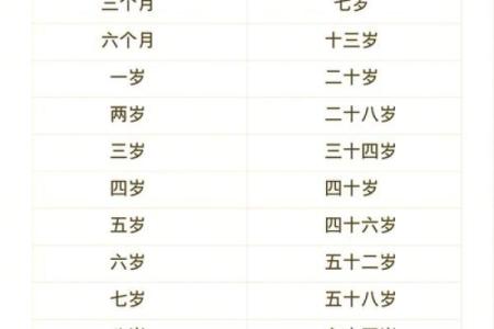 出生兔人如何提升命运运程