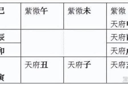 紫薇免费排盘揭秘：如何通过紫薇斗数了解人生运势